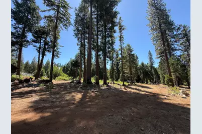 30082 Buckthorn Lane, Nevada City, CA 95959 - Photo 8