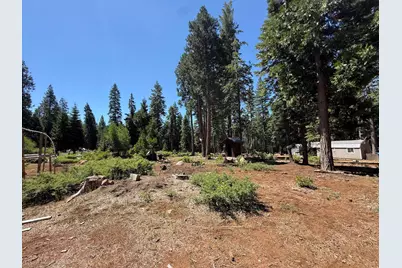 30082 Buckthorn Lane, Nevada City, CA 95959 - Photo 30