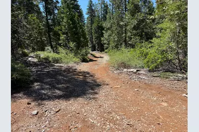 30082 Buckthorn Lane, Nevada City, CA 95959 - Photo 16