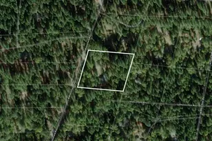 14517 N Bloomfield Rd, Nevada City, CA 95959 - Photo 78
