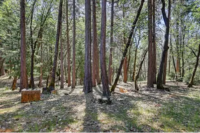 14517 N Bloomfield Road, Nevada City, CA 95959 - Photo 46