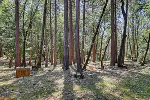 14517 N Bloomfield Rd, Nevada City, CA 95959 - Photo 46