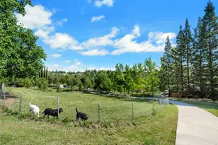 3350 Rattlesnake Rd, Newcastle, CA 95658 - Photo 56