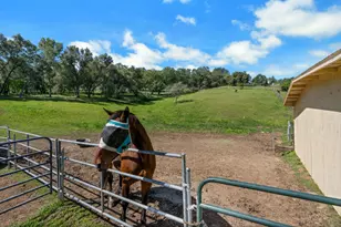 3350 Rattlesnake Rd, Newcastle, CA 95658 - Photo 6