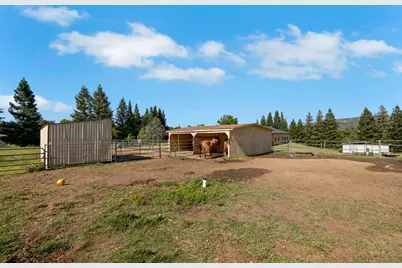 3350 Rattlesnake Road, Newcastle, CA 95658 - Photo 58