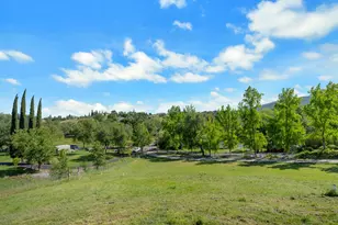3350 Rattlesnake Rd, Newcastle, CA 95658 - Photo 52