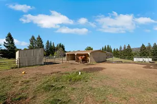 3350 Rattlesnake Rd, Newcastle, CA 95658 - Photo 58