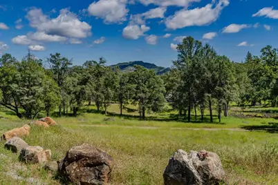 5039 Old Emigranttrail East, Mountain Ranch, CA 95246 - Photo 58