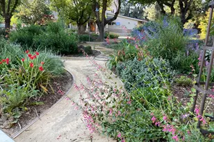 38201 Russell Blvd, Davis, CA 95616 - Photo 8