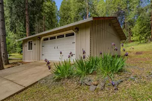16425 Carolyn Way, Pioneer, CA 95666 - Photo 4