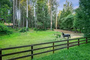 15188 N Bloomfield Rd, Nevada City, CA 95959 - Photo 62