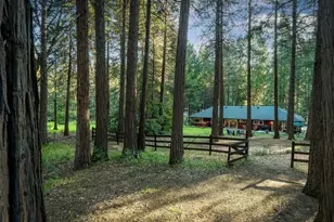 15188 N Bloomfield Rd, Nevada City, CA 95959 - Photo 56