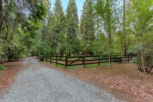15188 N Bloomfield Rd, Nevada City, CA 95959 - Photo 60