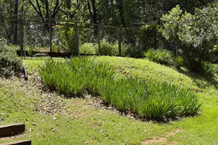 14041 Druid Ln, Pine Grove, CA 95665 - Photo 46