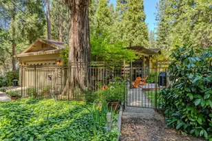 26725 Sugar Pine Dr, Pioneer, CA 95666 - Photo 10