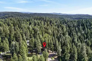 6210 Pine St, Pollock Pines, CA 95726 - Photo 58