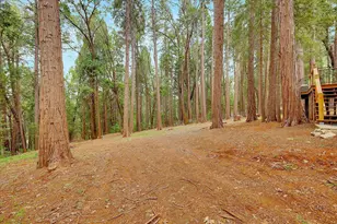 13274 Idaho Maryland Rd, Nevada City, CA 95959 - Photo 50