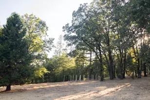 12123 Cement Hill Rd, Nevada City, CA 95959 - Photo 34