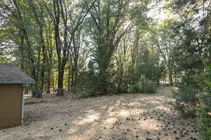 12123 Cement Hill Rd, Nevada City, CA 95959 - Photo 10