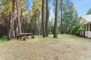 7017 Blackhawk Ln, Foresthill, CA 95631 - Photo 14