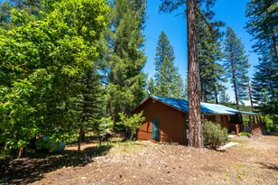 23 Wild Rose Meadow Ln, North San Juan, CA 95960 - Photo 18