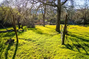 2580 Golden Fawn Trail, Shingle Springs, CA 95682 - Photo 50