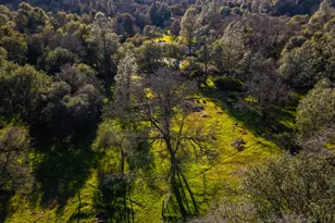 2580 Golden Fawn Trail, Shingle Springs, CA 95682 - Photo 52