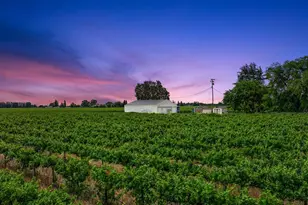 8650 E Hwy 12, Lodi, CA 95240 - Photo 52