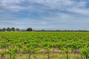 8650 E Hwy 12, Lodi, CA 95240 - Photo 48