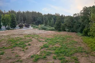 13451 Colfax Hwy, Grass Valley, CA 95945 - Photo 28