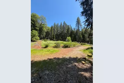 0 Roaring Ridge Rd, Montgomery Creek, CA 96065 - Photo 2
