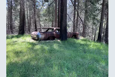 5201 Old Mine Road, Grizzly Flats, CA 95636 - Photo 26