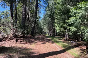 5201 Old Mine Rd, Grizzly Flats, CA 95636 - Photo 16
