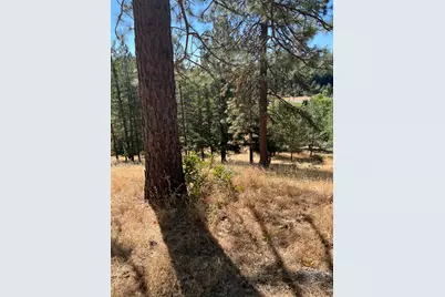 4625 W Rosarno Place, Foresthill, CA 95631 - Photo 8