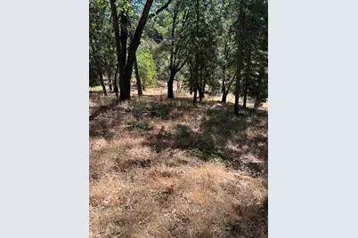 4625 W Rosarno Place, Foresthill, CA 95631 - Photo 16