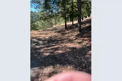 4625 W Rosarno Place, Foresthill, CA 95631 - Photo 22