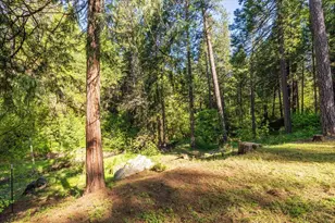 10878 Leecrest Ct, Nevada City, CA 95959 - Photo 54