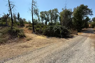 9985 Wendell Rd, Mountain Ranch, CA 95246 - Photo 82