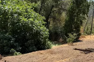 9985 Wendell Rd, Mountain Ranch, CA 95246 - Photo 74