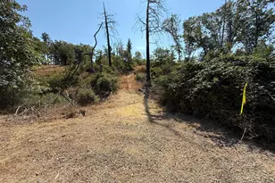 9985 Wendell Rd, Mountain Ranch, CA 95246 - Photo 78