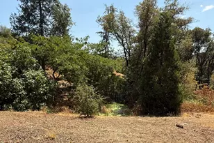 9985 Wendell Rd, Mountain Ranch, CA 95246 - Photo 76