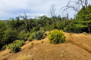 9985 Wendell Rd, Mountain Ranch, CA 95246 - Photo 66