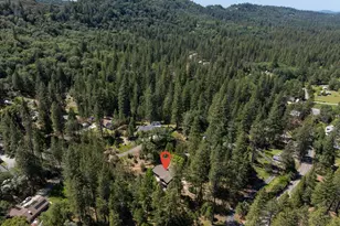 3950 Frog Hollow Dr, Placerville, CA 95667 - Photo 44