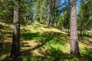 3950 Frog Hollow Dr, Placerville, CA 95667 - Photo 40