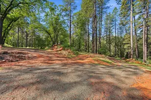 16519 Bristow Ct, Grass Valley, CA 95949 - Photo 52