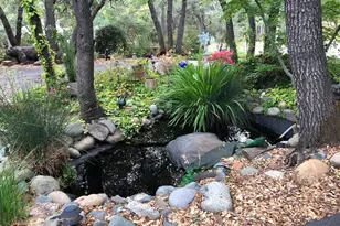 6320 Zamora Dr, Placerville, CA 95667 - Photo 72