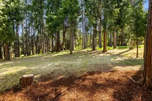 12609 Oak Cir, Grass Valley, CA 95945 - Photo 38