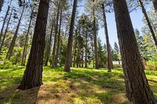 12609 Oak Cir, Grass Valley, CA 95945 - Photo 42