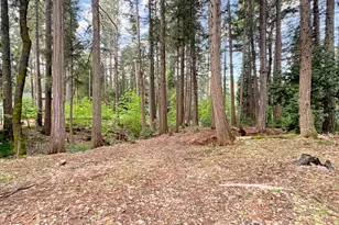 12834 Spanish Ln, Nevada City, CA 95959 - Photo 2