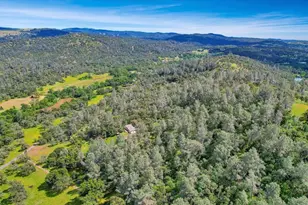10268 Peoria Rd, Browns Valley, CA 95918 - Photo 46